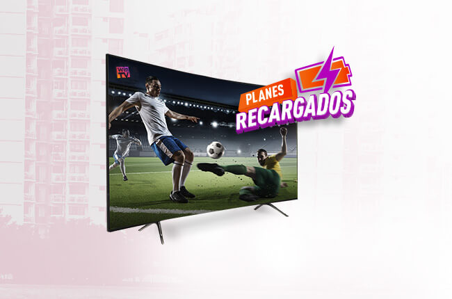 conoce-nuestras-novedades-para-junio